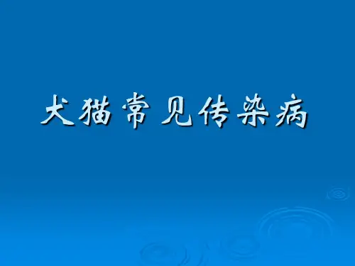 小动物常见传染病