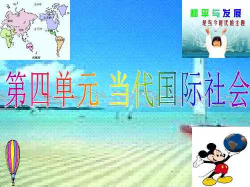2020年高考政治大一轮复习《政治生活》第四单元：当代国际社会
