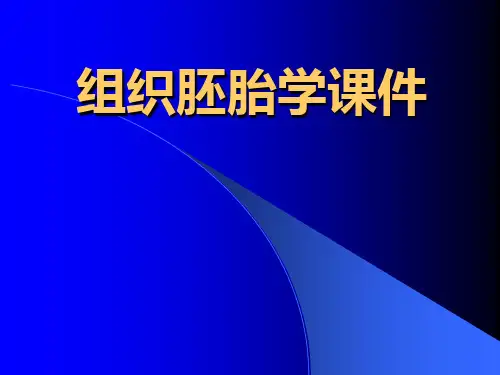 第二章上皮组织  组织胚胎学PPT课件