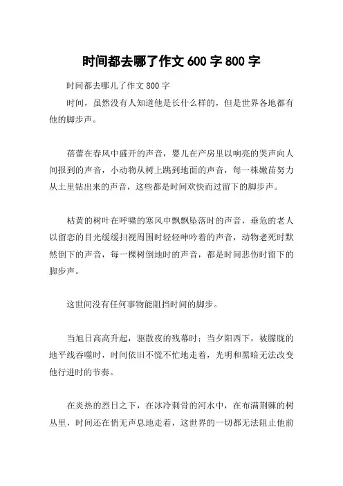 时间都去哪了作文600字800字