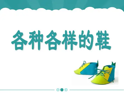 《各种各样的鞋》课件