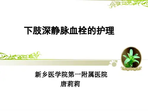 下肢深静脉血栓的护理-ppt