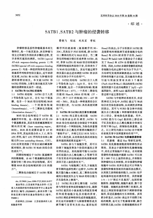 SATB1、SATB2与肿瘤的侵袭转移