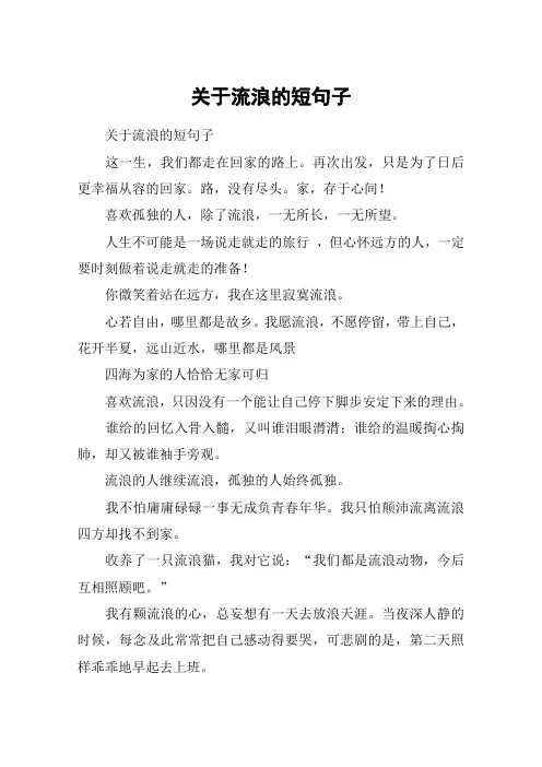 关于流浪的短句子