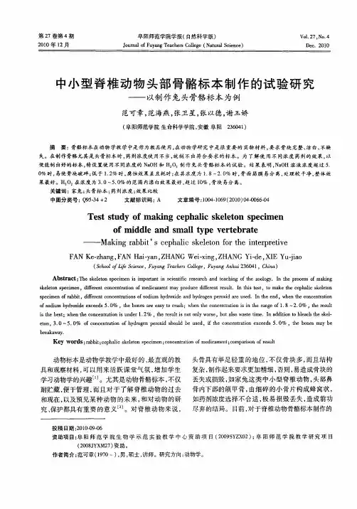 中小型脊椎动物头部骨骼标本制作的试验研究——以制作兔头骨骼标本为例