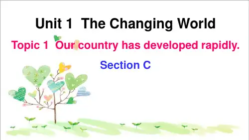 初中英语九年级Unit 1Topic 1 Our country has developed rapidly.C (2)
