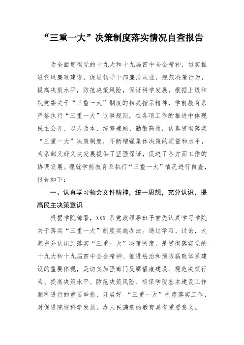 学前教育系“三重一大”决策制度落实情况自查报告