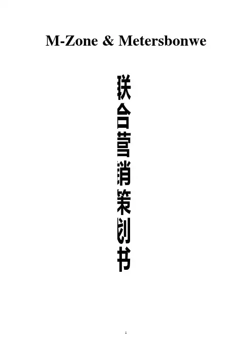 联合营销策划书