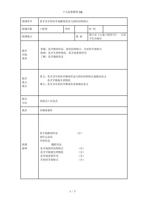 乳牙及年轻恒牙的解剖形态与组织结构特点 2