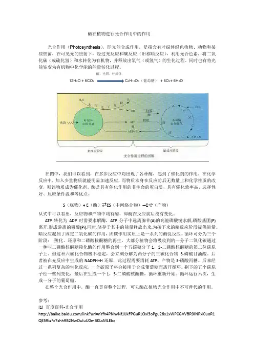 物理化学课程设计
