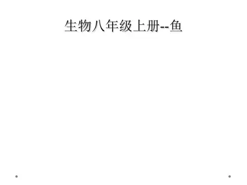 生物八年级上册鱼
