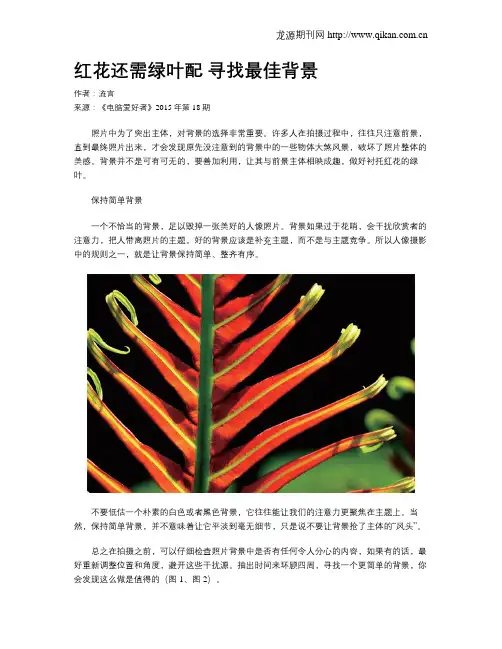 红花还需绿叶配 寻找最佳背景