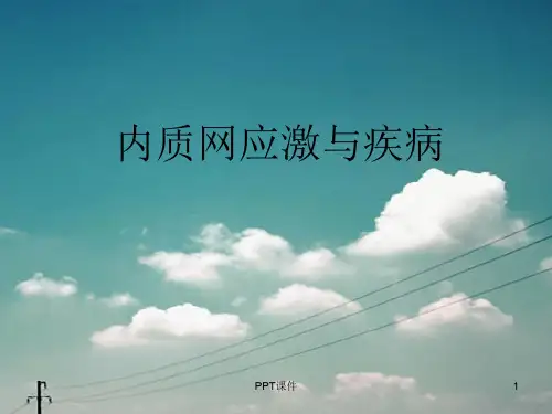 内质网应激与疾病  ppt课件