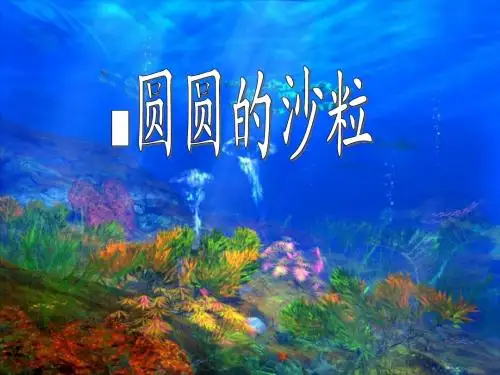 《圆圆的沙粒》课件