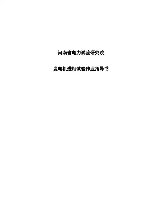 发电机进相试验作业指导书
