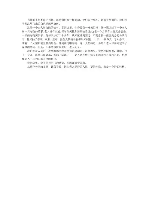 《老人与海鸥》读后感(6)