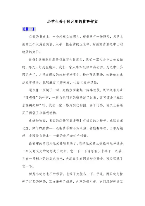 小学生关于照片里的故事作文共六篇