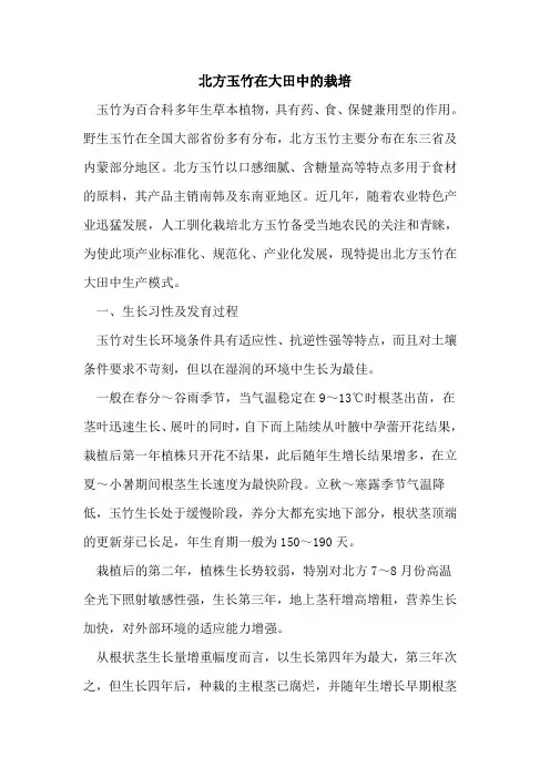北方玉竹在大田中栽培