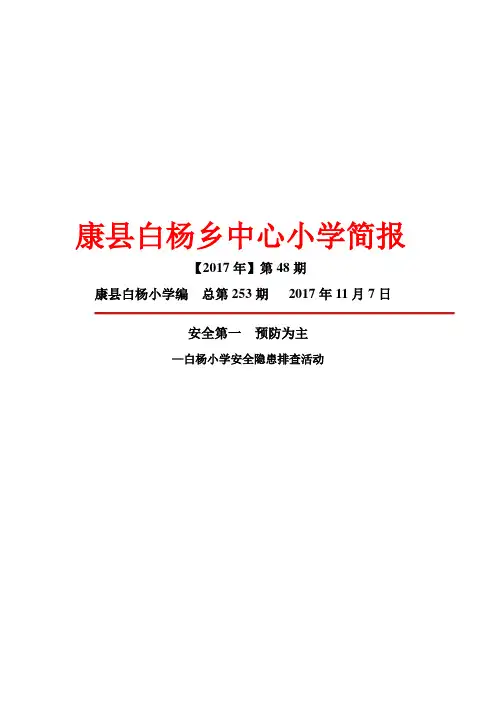 校园安全隐患排查简报-30
