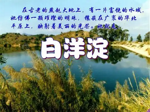 芦花