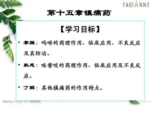 药理学镇痛药课件