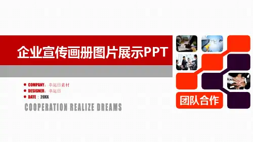 PPT模版-企业介绍产品介绍(15)