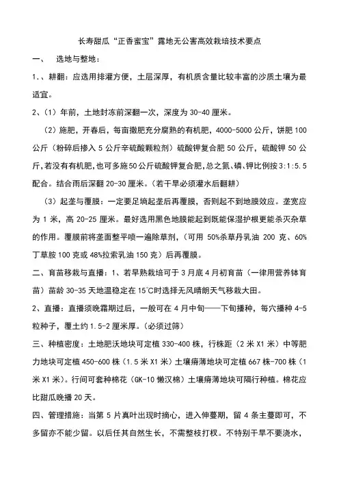 长寿甜瓜正香蜜宝栽培技术要点