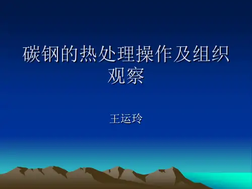 碳钢的热处理操作及组织观察
