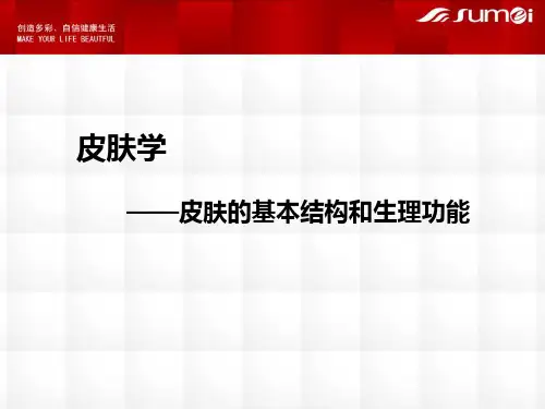 皮肤结构与功能.ppt