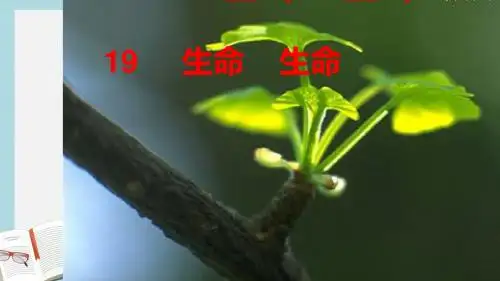 人教版四年级语文下册19生命_生命优秀ppt课件