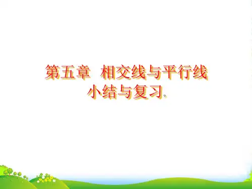 人教版七年级数学下册第五章《小结与复习》优课件