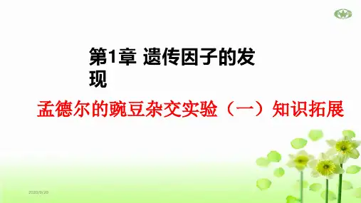 《孟德尔的豌豆杂交实验(一)》人教版高中生物完美课件1
