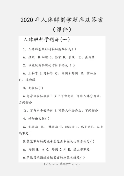 2020年人体解剖学题库及答案(课件)
