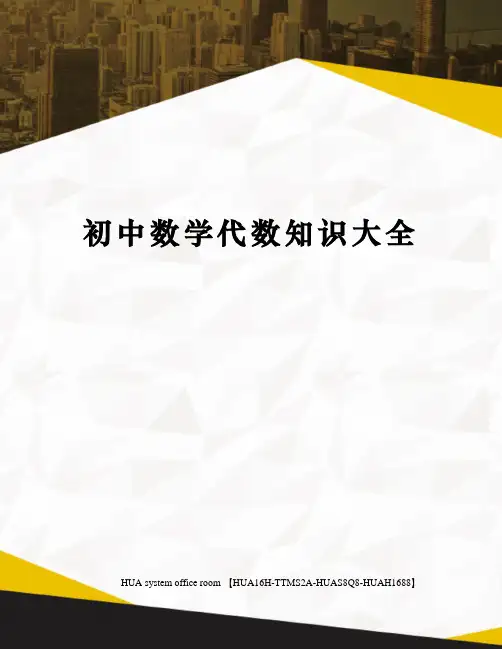 初中数学代数知识大全定稿版