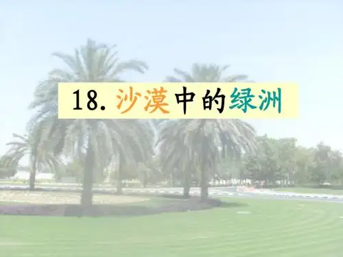 18.沙漠中的绿洲