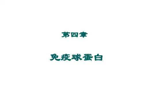 大学课程医学免疫学免疫球蛋白课件