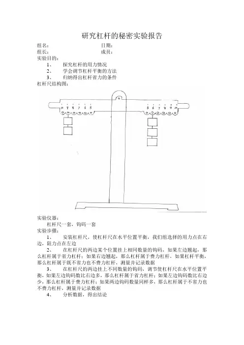 研究杠杆的秘密实验报告