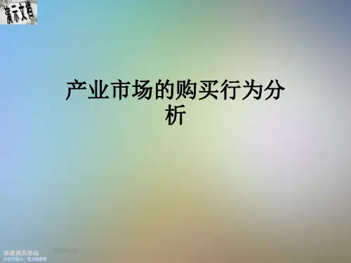 产业市场的购买行为分析