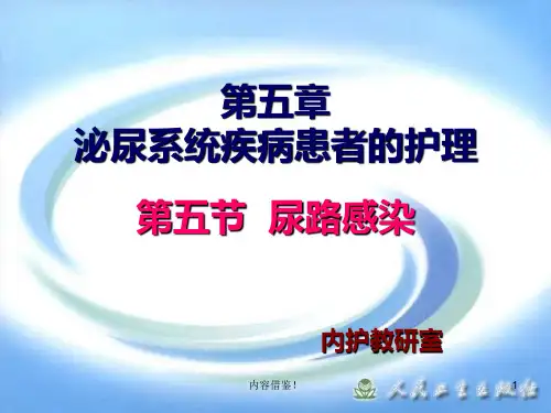 第五节__尿路感染病人的护理(严选资料)