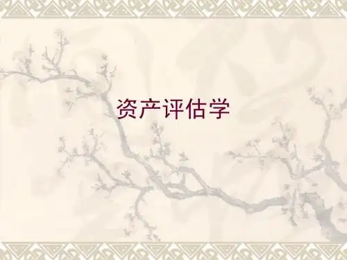 公司价值评估第二章