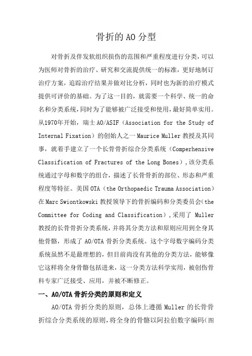 骨折的AO分型