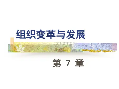 组织变革与发展方案