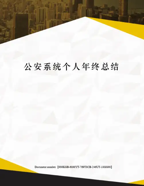 公安系统个人年终总结