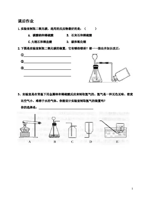 第三节二氧化碳的实验室制法 2