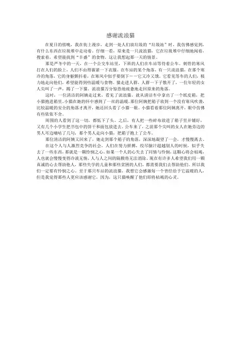 对流浪猫的感谢