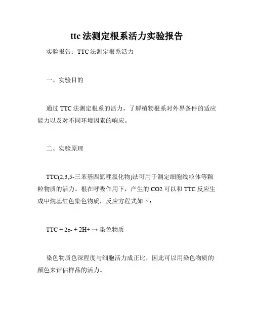 ttc法测定根系活力实验报告