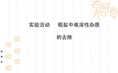2014中考化学一轮复习 九下 粗盐中难溶性杂质的去除(同步知识点汇集+含2013教师典型题)课件 新人教版