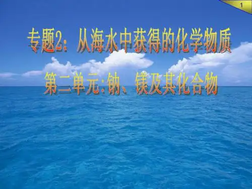 2.2.1钠