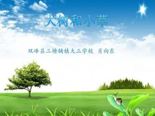 三年级上册科学课件 1.3 大树和小草 教科版(共17张PPT)