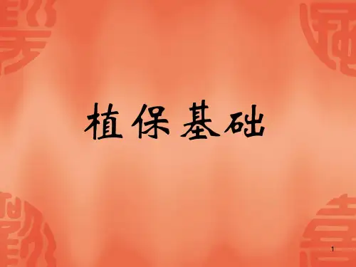 植保知识培训ppt课件